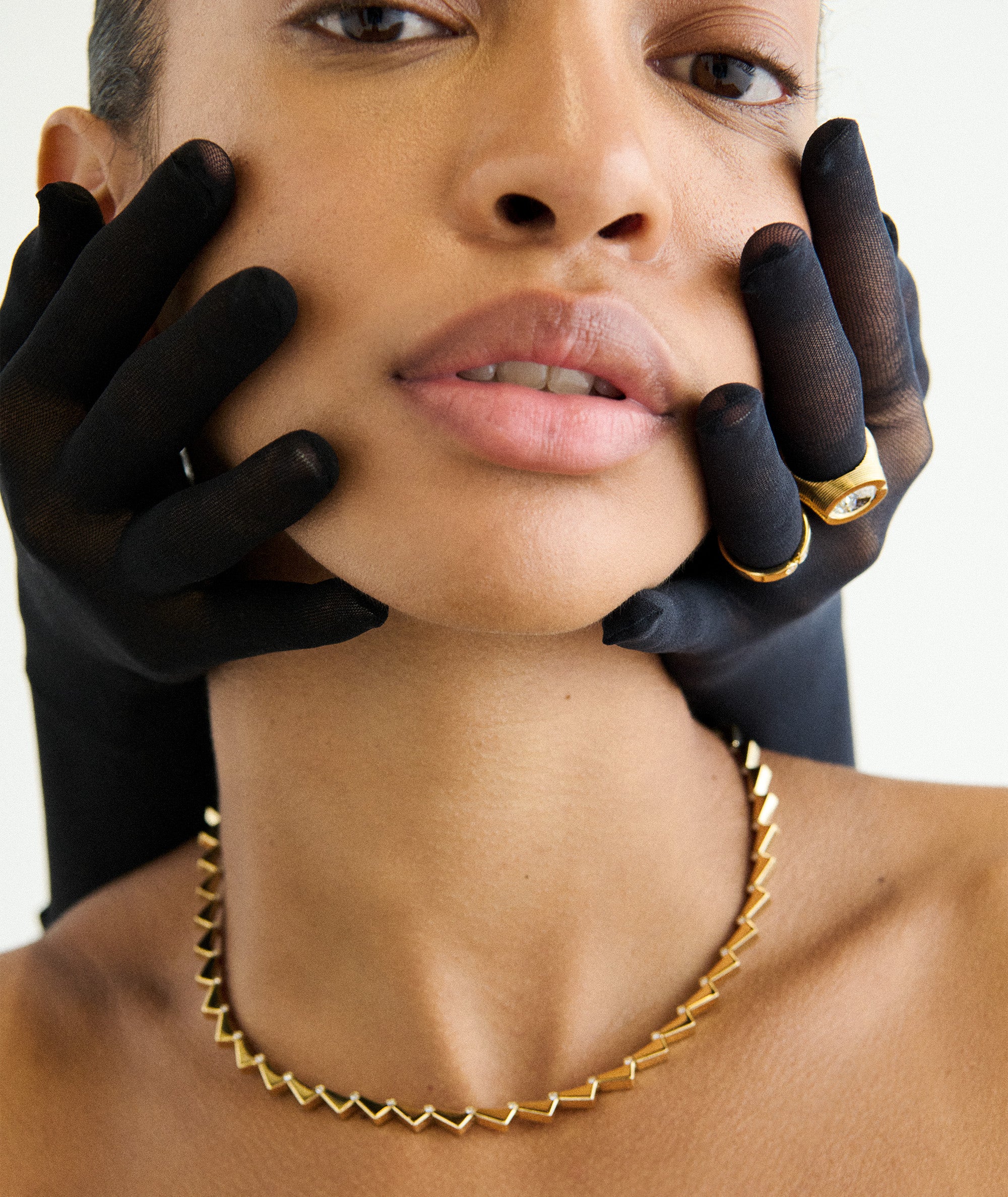 Hinged Collar