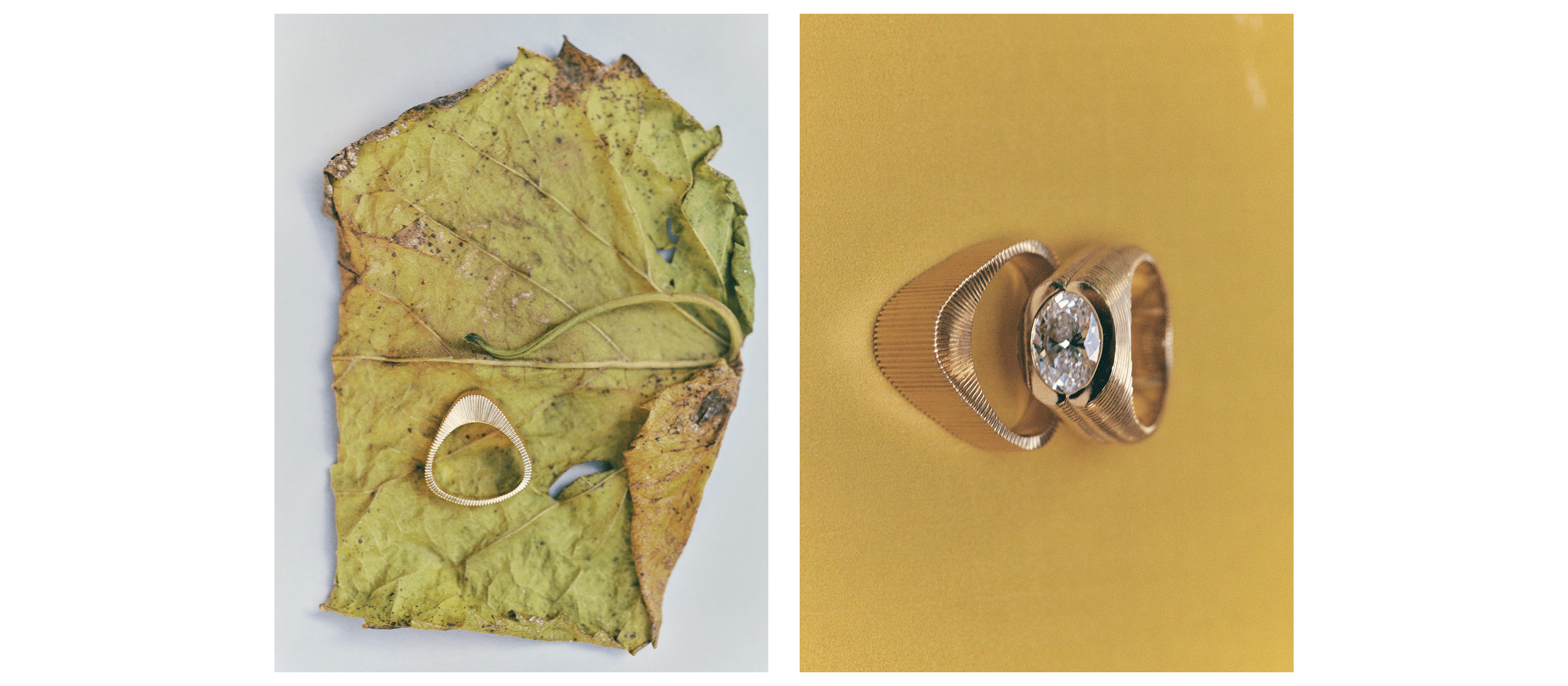 The EREDE Triad Ring on a leaf. The EREDE Triad Ring and Delta Signet Ring on a yellow background